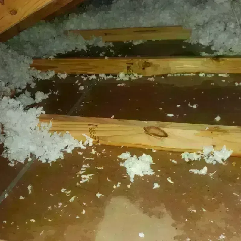 Attic Water Damage in Highland County, VA